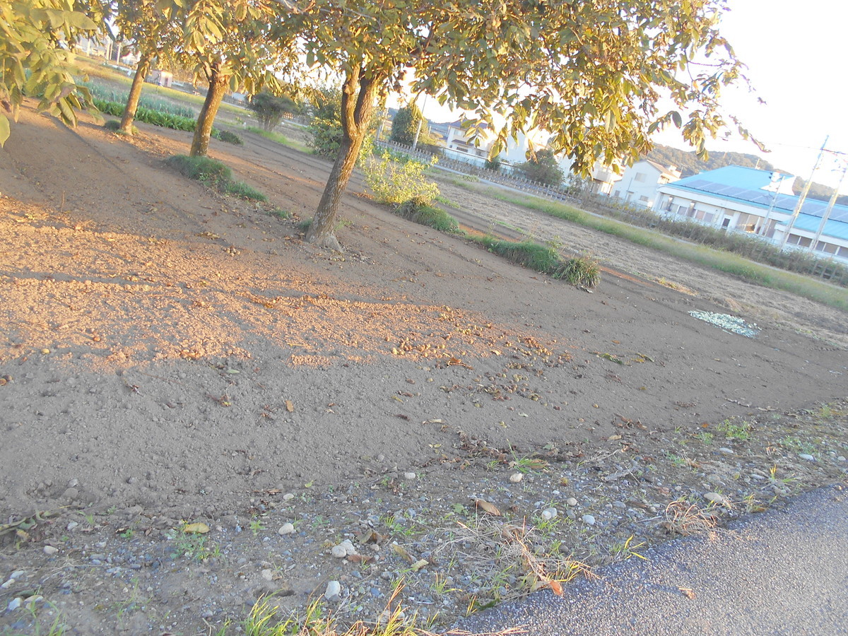 f:id:iirei:20201107005228j:plain