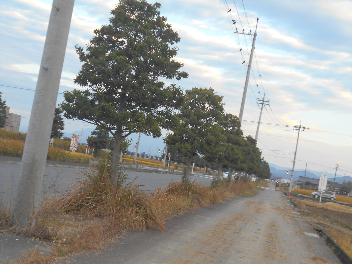 f:id:iirei:20201107005352j:plain