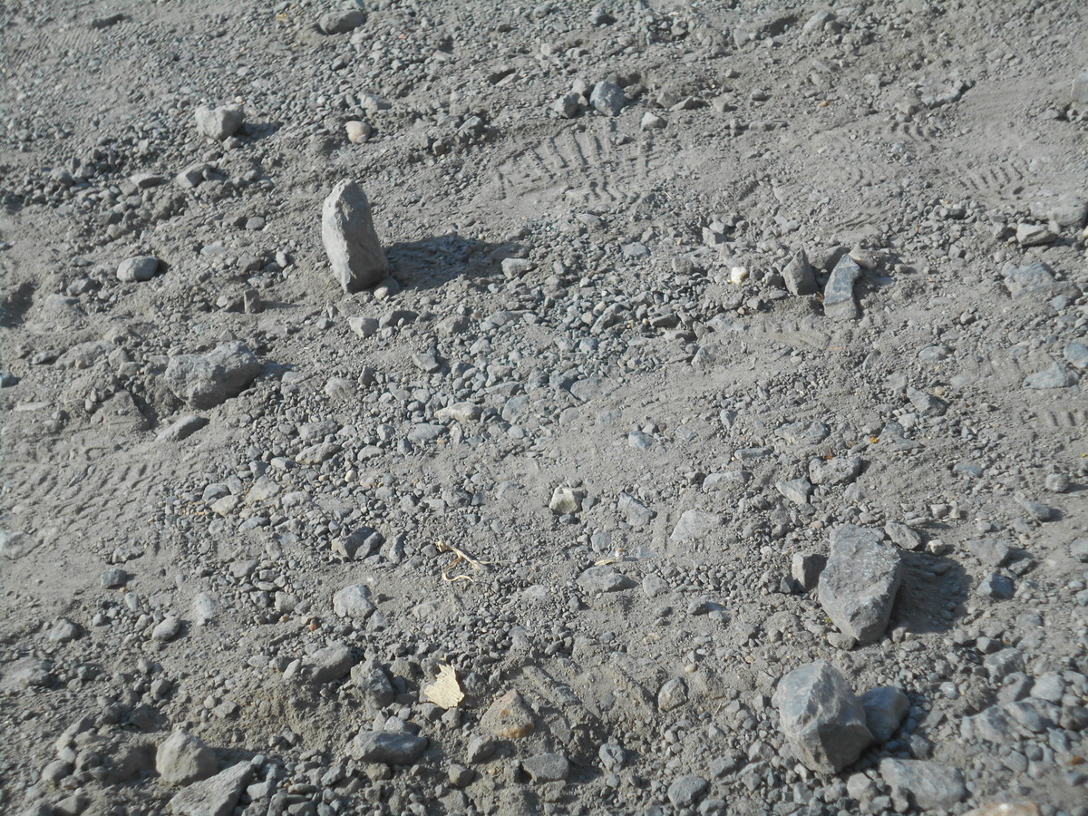 f:id:iirei:20201219035224j:plain
