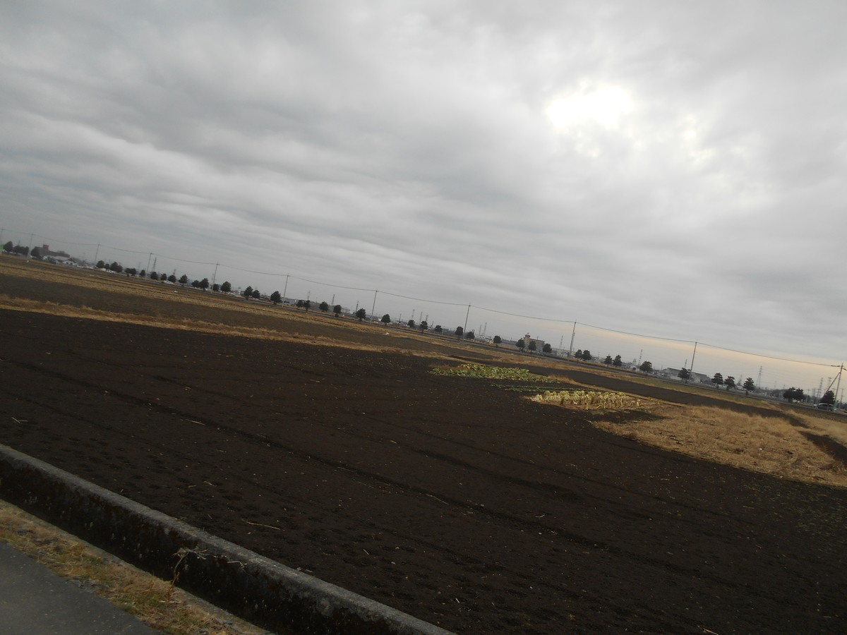 f:id:iirei:20210130045757j:plain