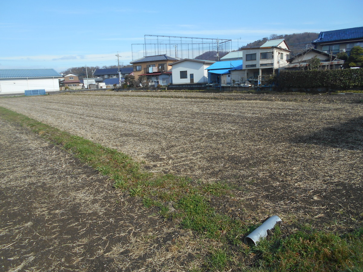 f:id:iirei:20210313045602j:plain