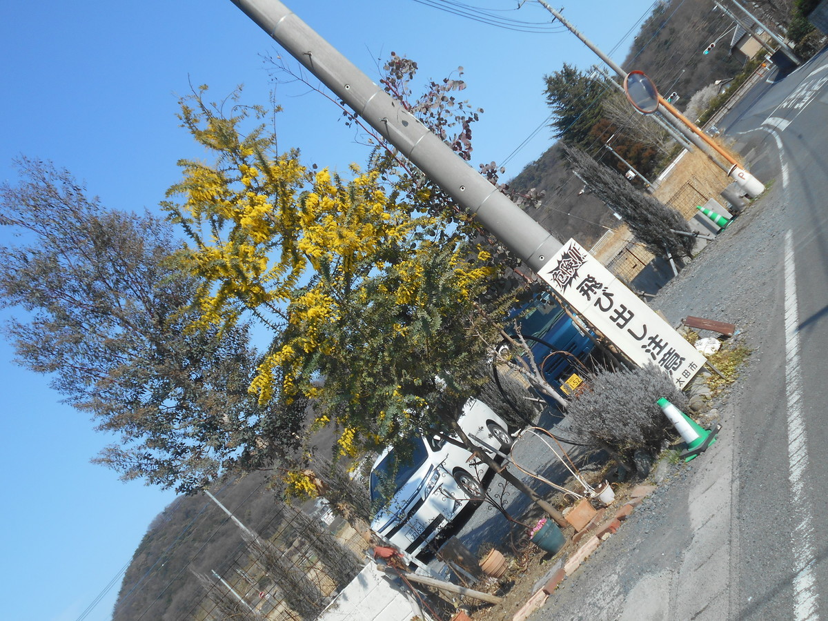 f:id:iirei:20210313045642j:plain