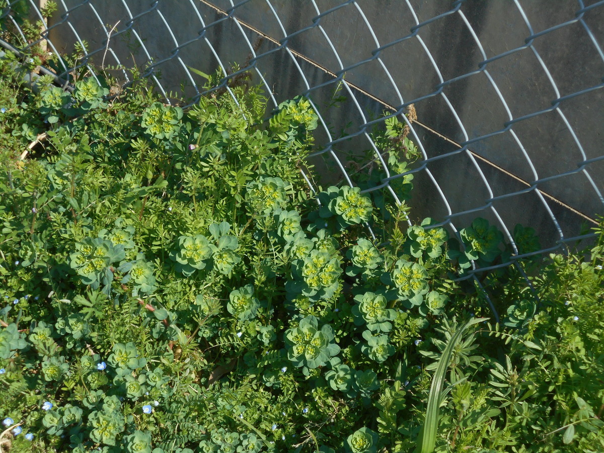 f:id:iirei:20210313045816j:plain