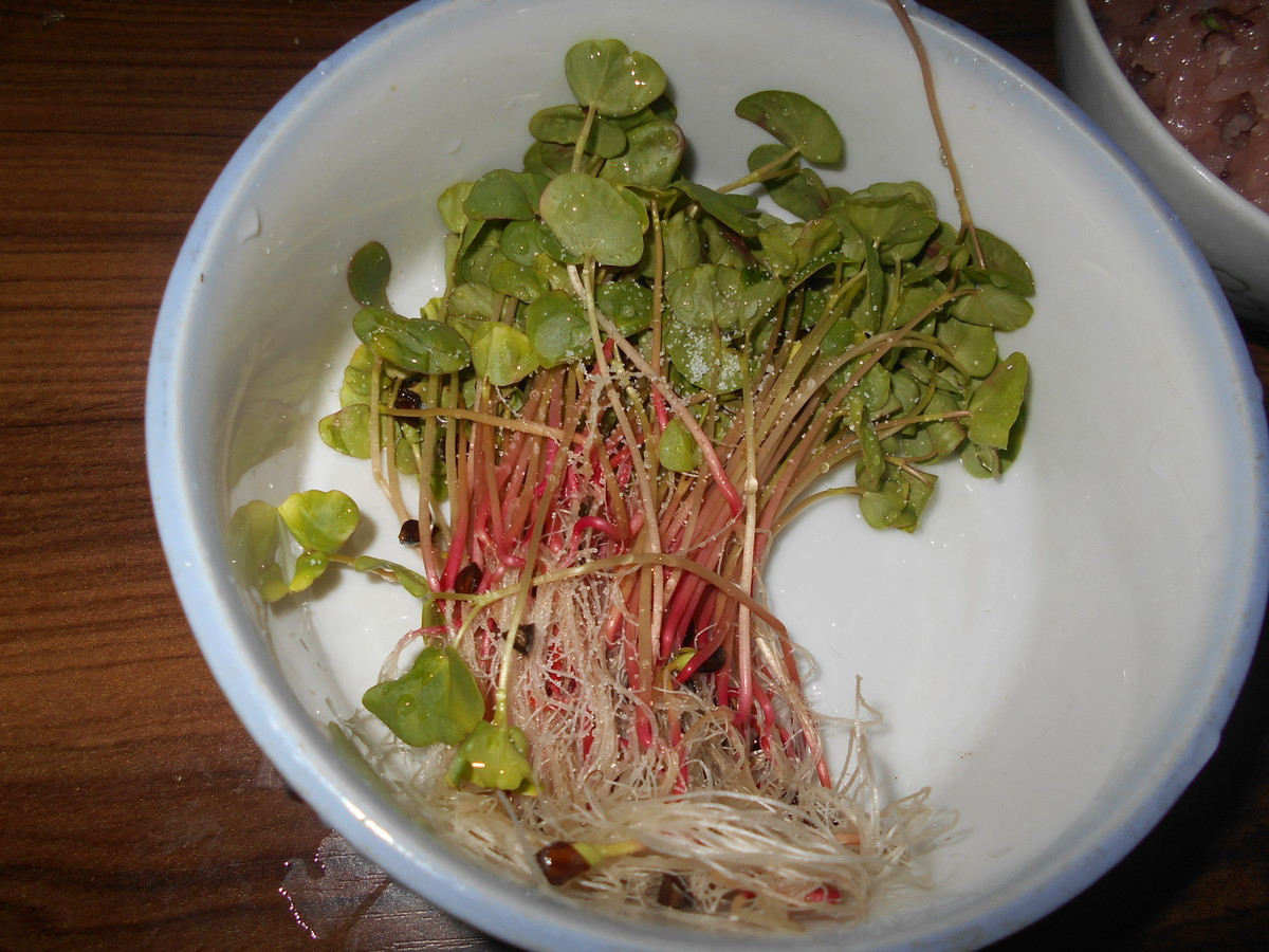 f:id:iirei:20210416230235j:plain