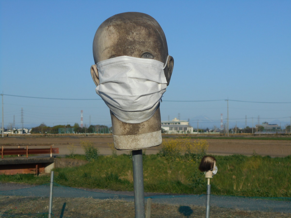 f:id:iirei:20210416230317j:plain