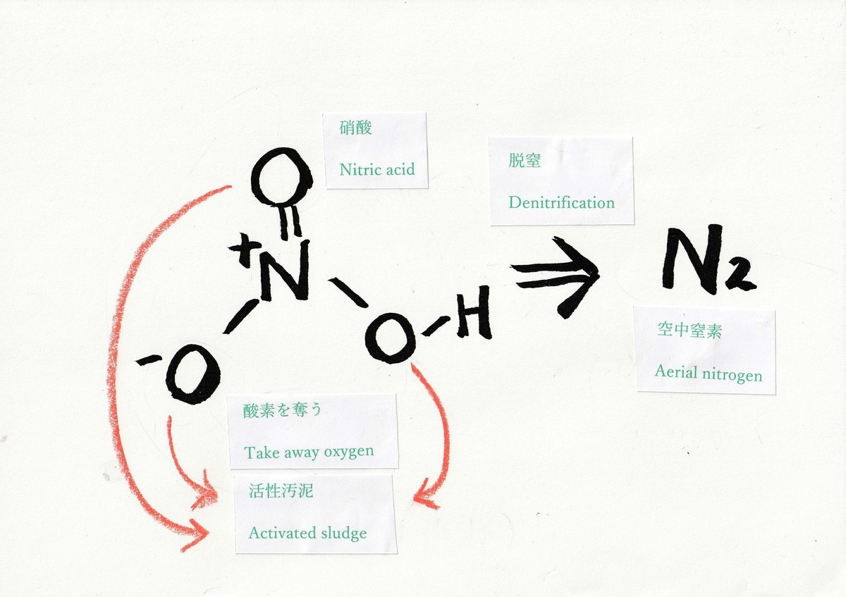 f:id:iirei:20210604140153j:plain