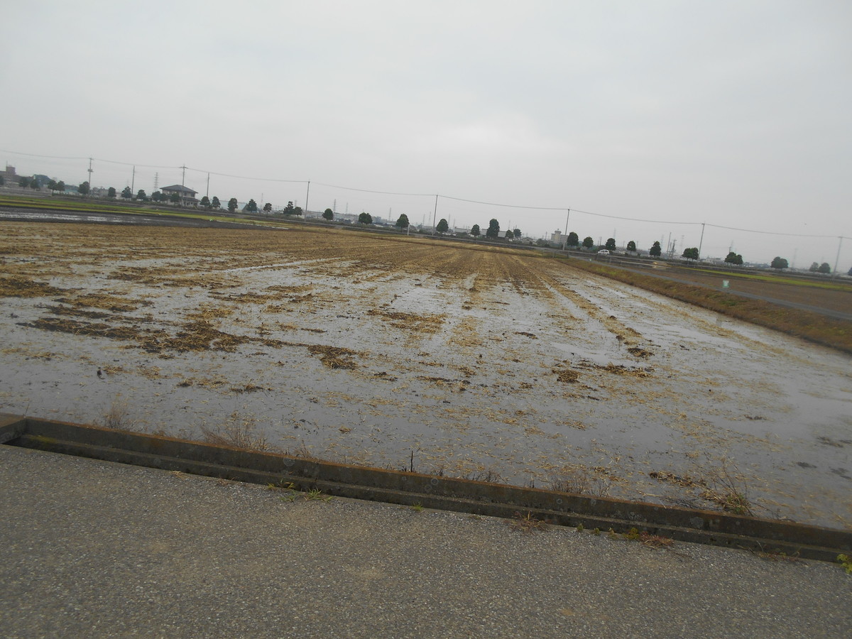 f:id:iirei:20210611194348j:plain