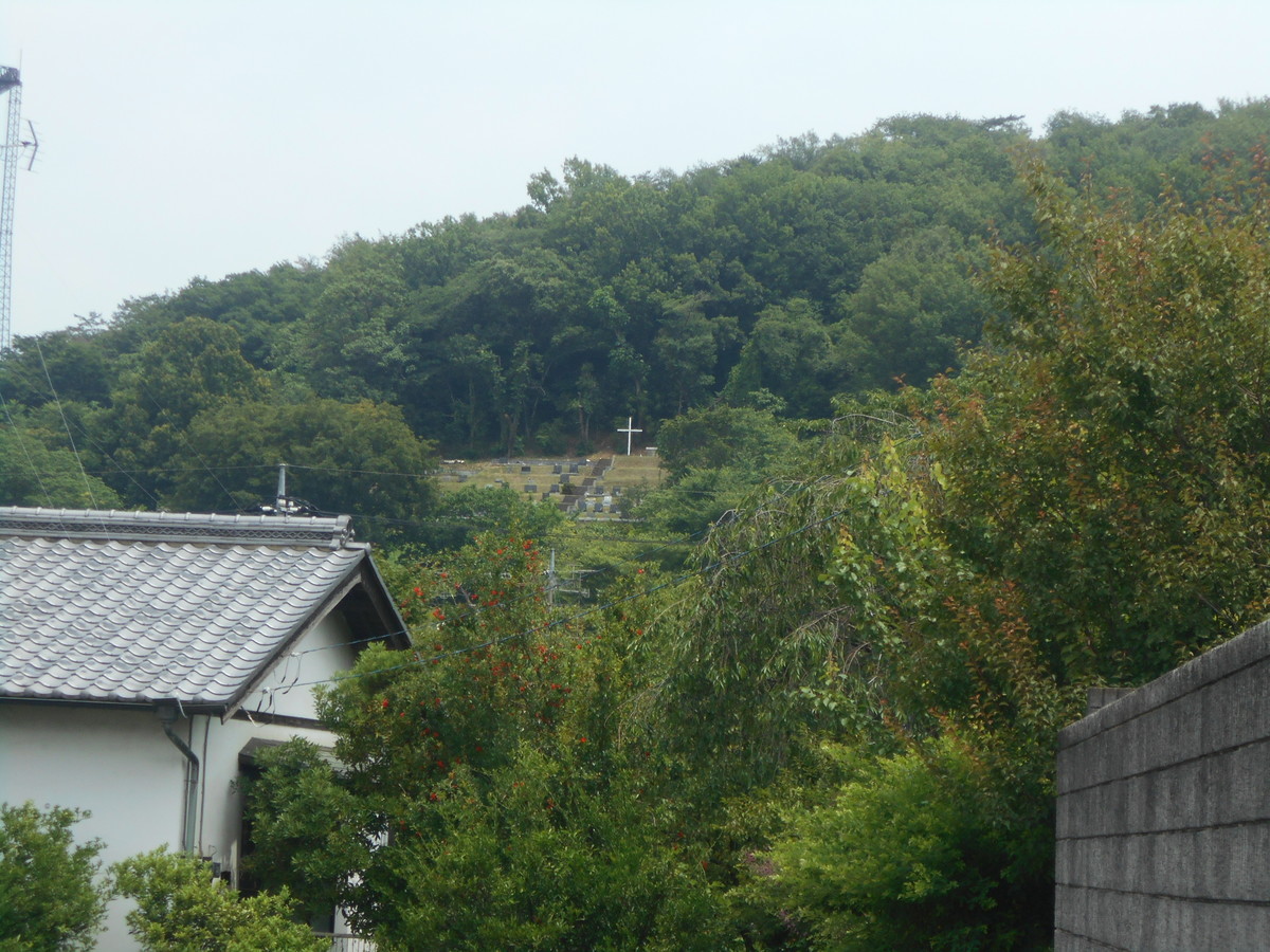 f:id:iirei:20210618055254j:plain