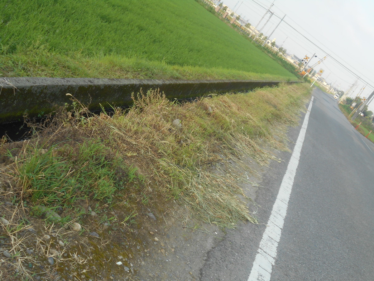f:id:iirei:20210723211556j:plain