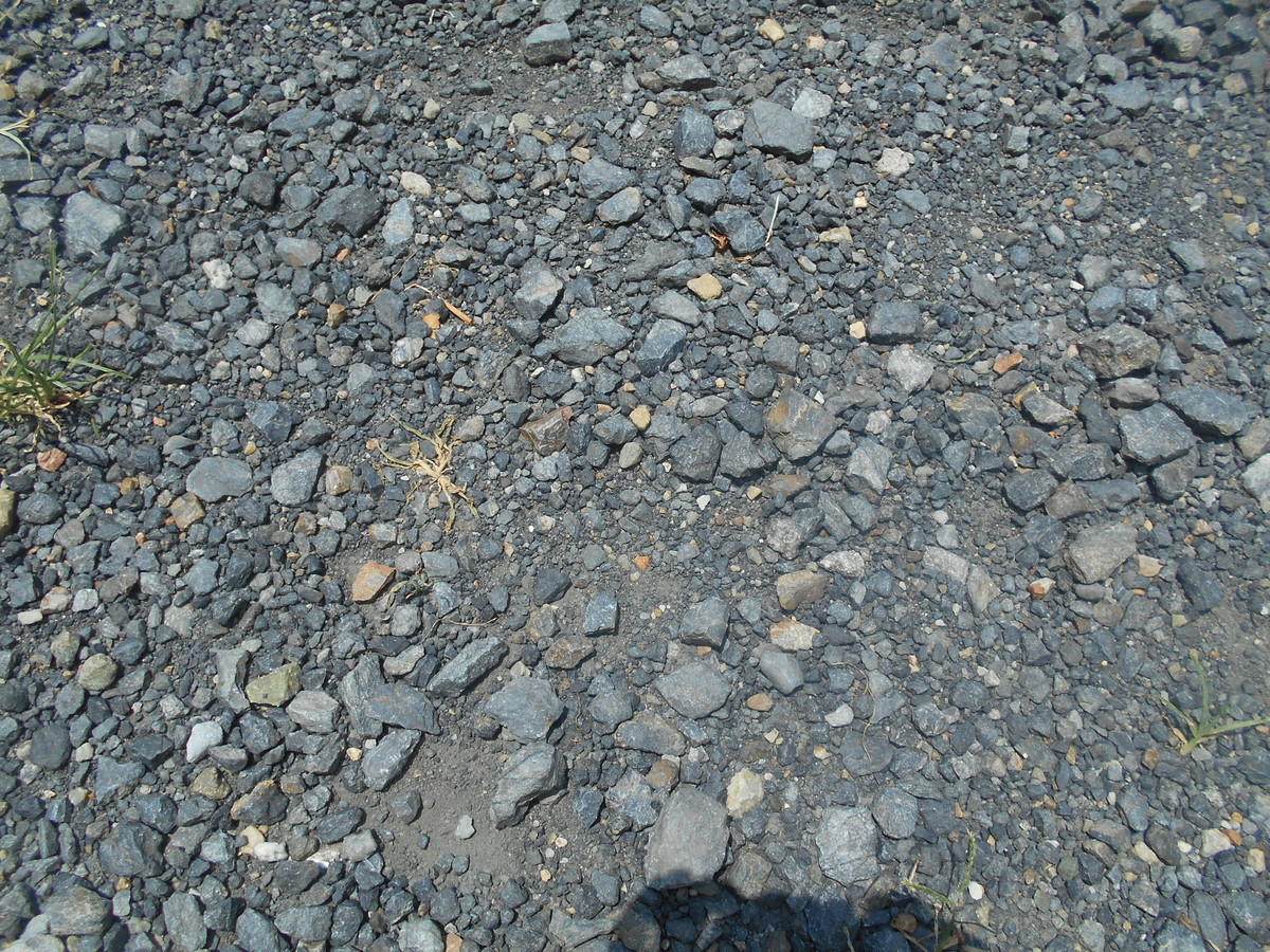 f:id:iirei:20210730192836j:plain