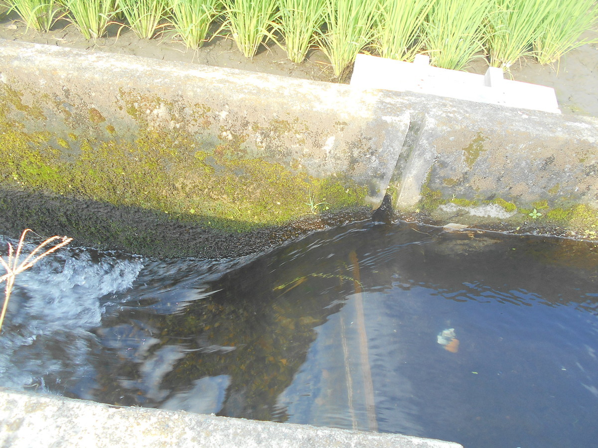 f:id:iirei:20210730193033j:plain