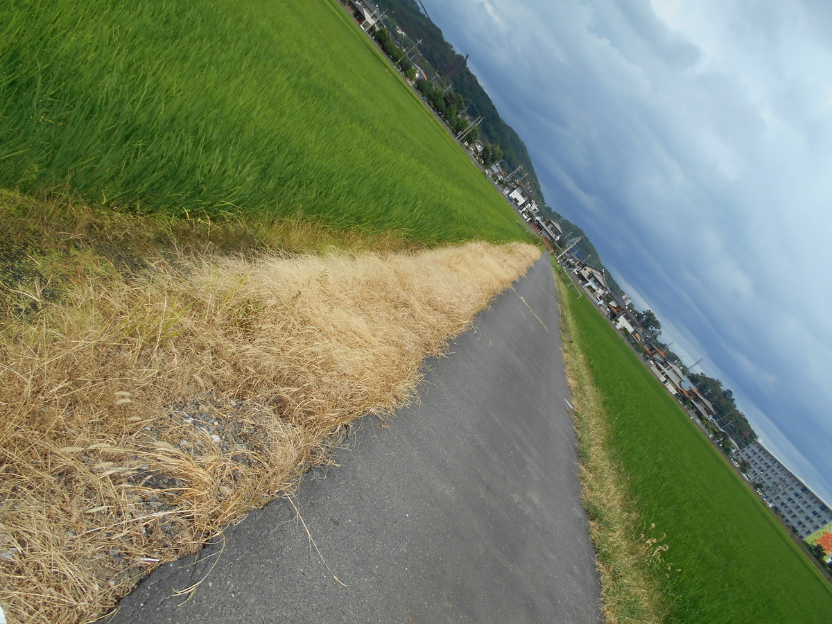 f:id:iirei:20210812235621j:plain