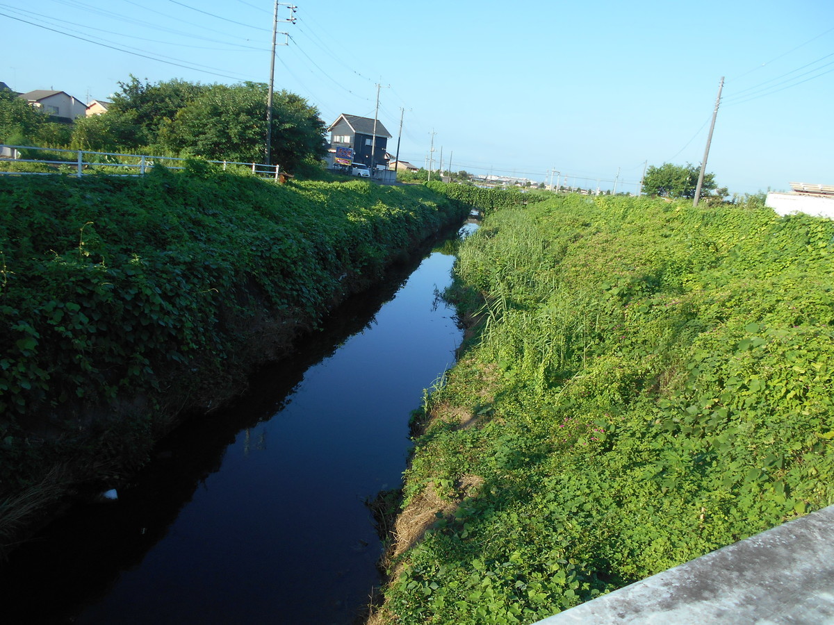 f:id:iirei:20210812235840j:plain