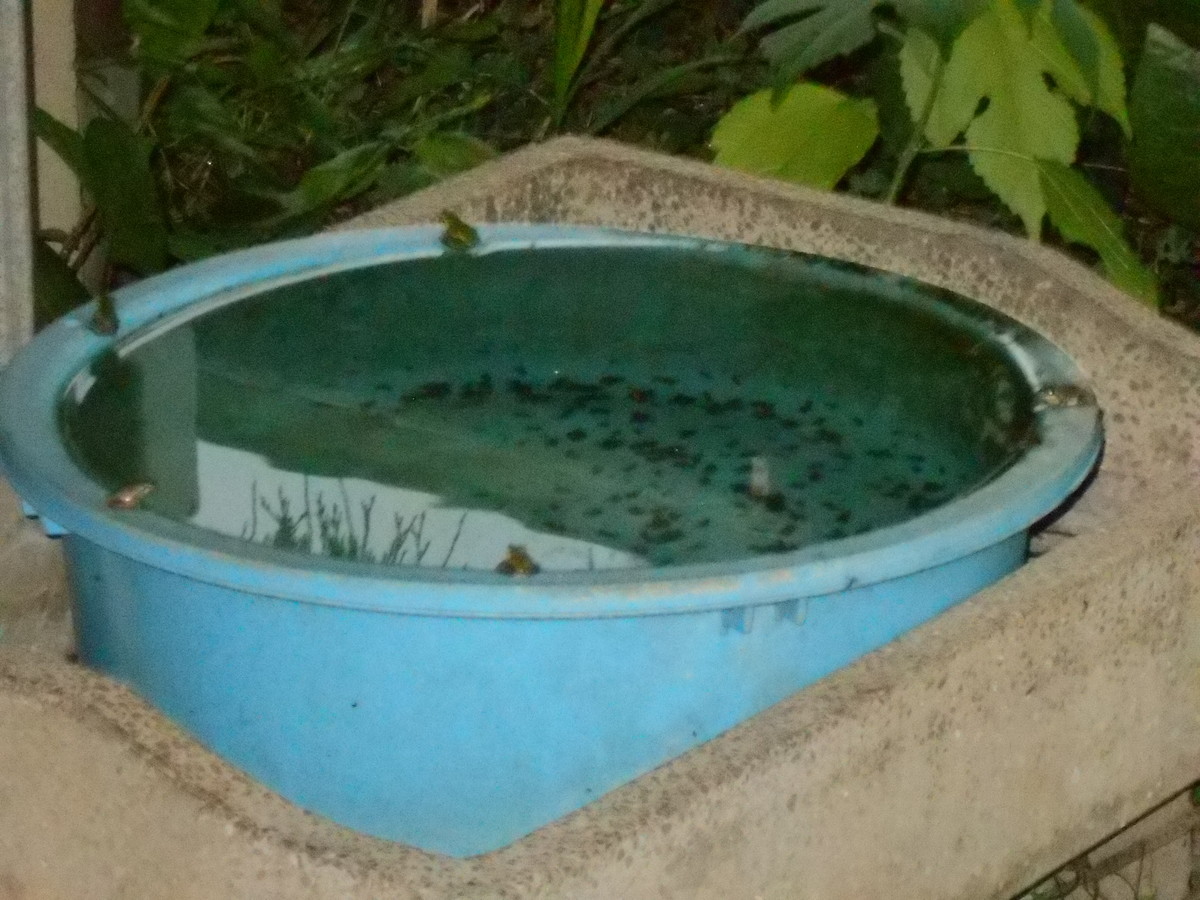 f:id:iirei:20210813000007j:plain