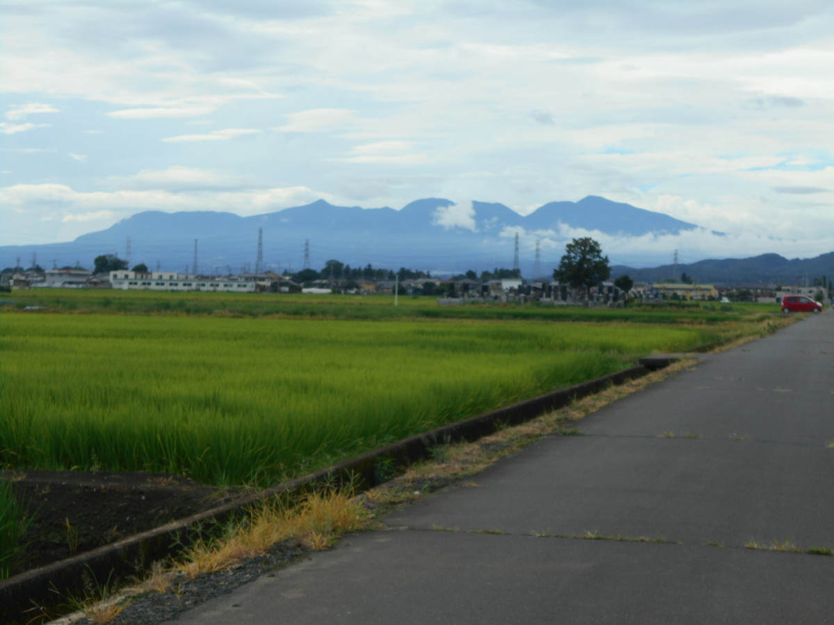 f:id:iirei:20210813000045j:plain