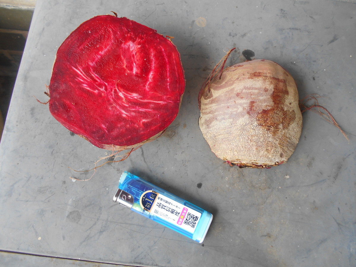 f:id:iirei:20210826222049j:plain