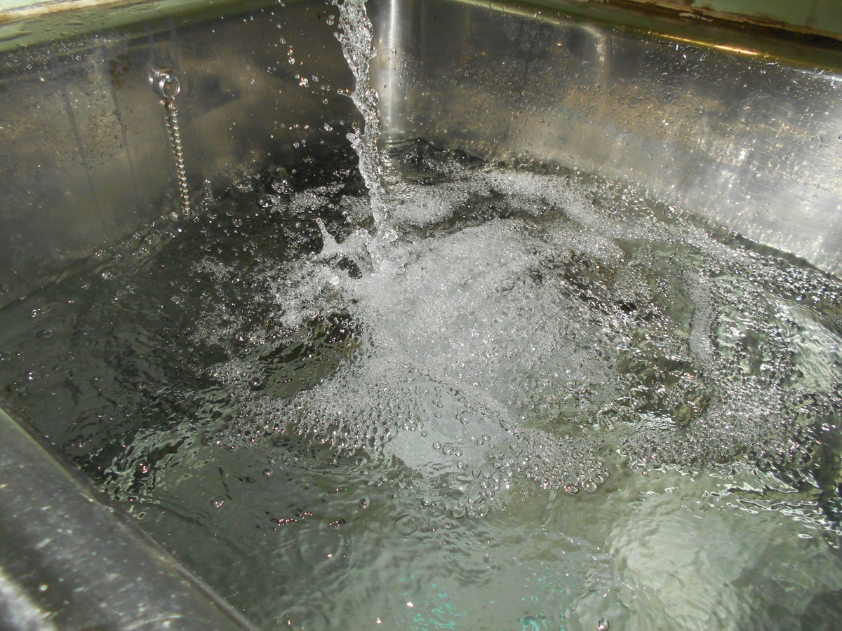 f:id:iirei:20210902163830j:plain