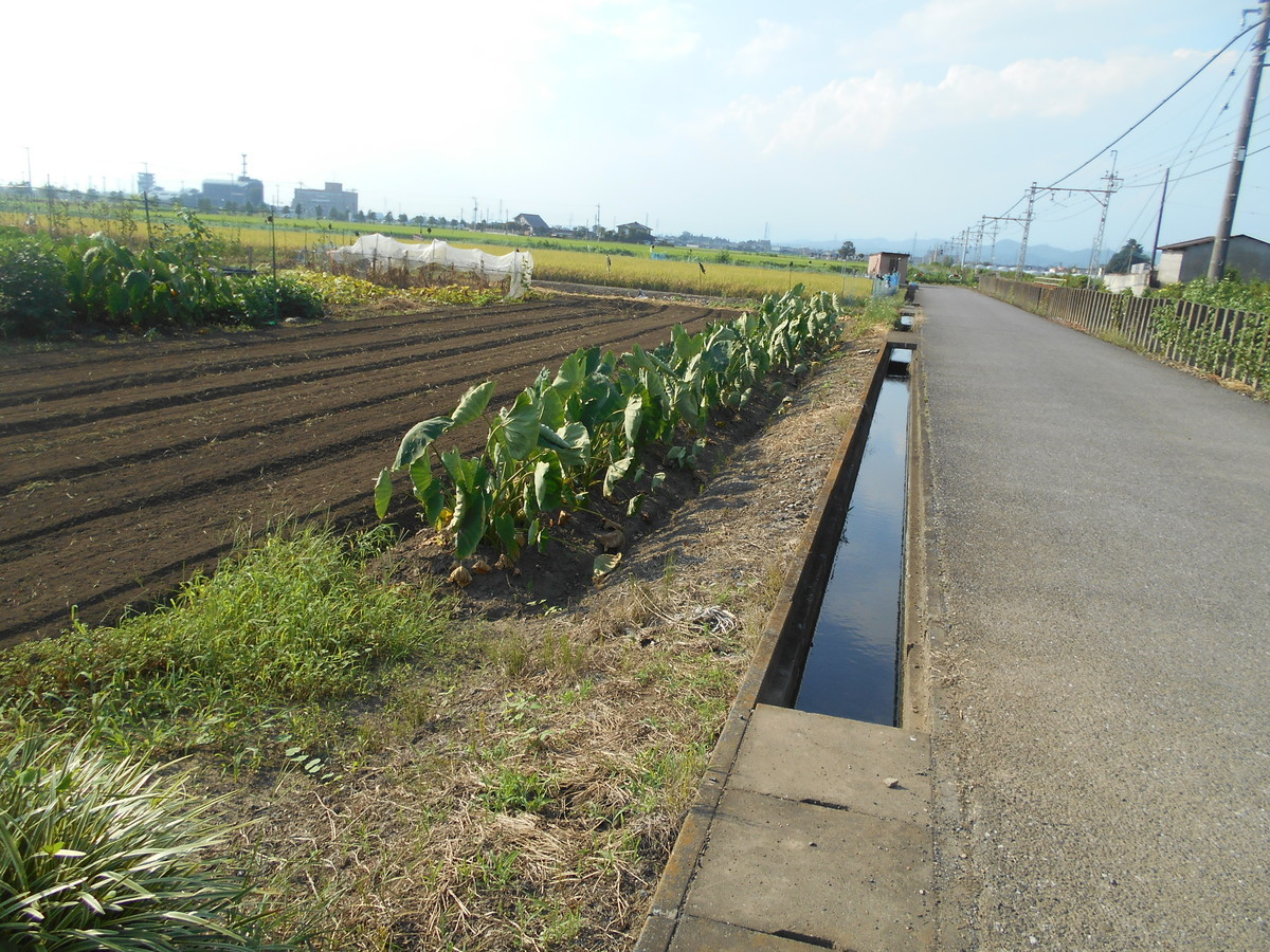 f:id:iirei:20210902164041j:plain