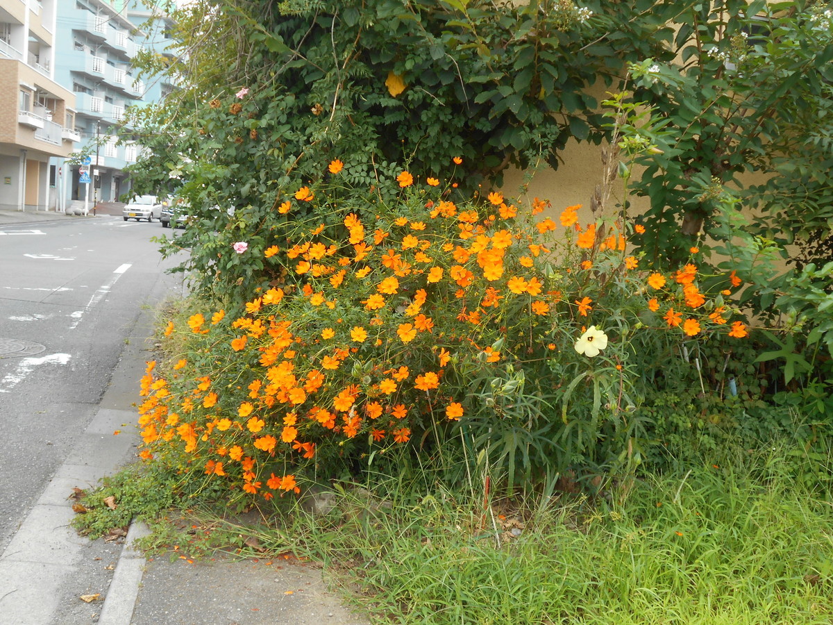 f:id:iirei:20210922220543j:plain