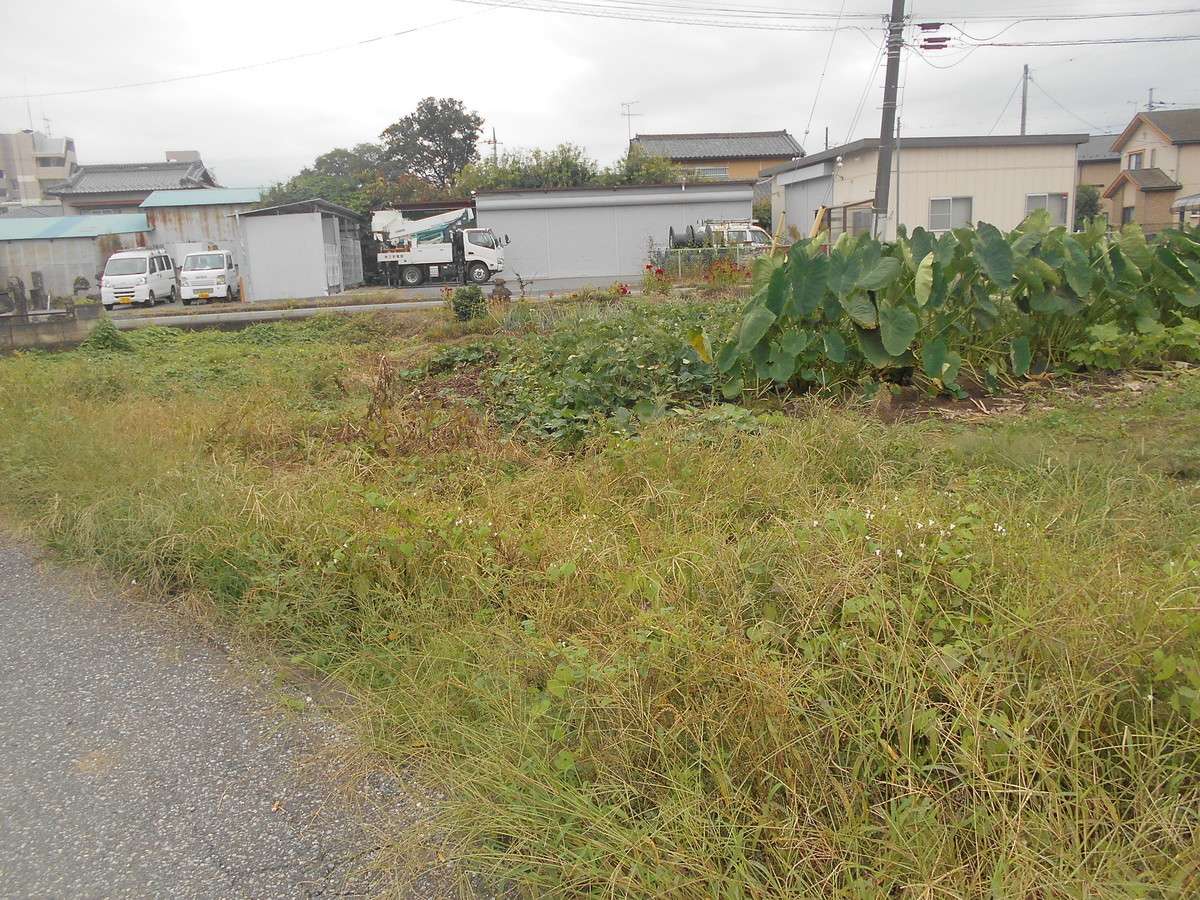 f:id:iirei:20210930000401j:plain