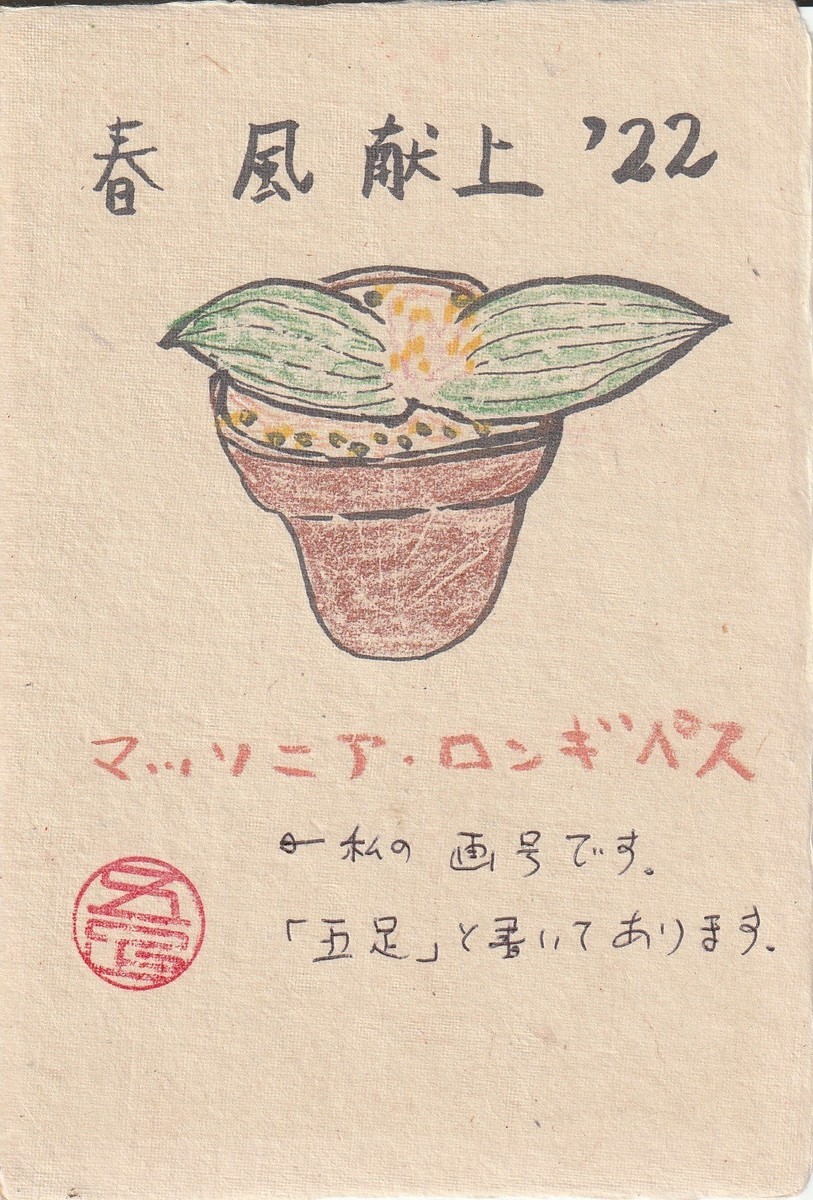 f:id:iirei:20220101062425j:plain