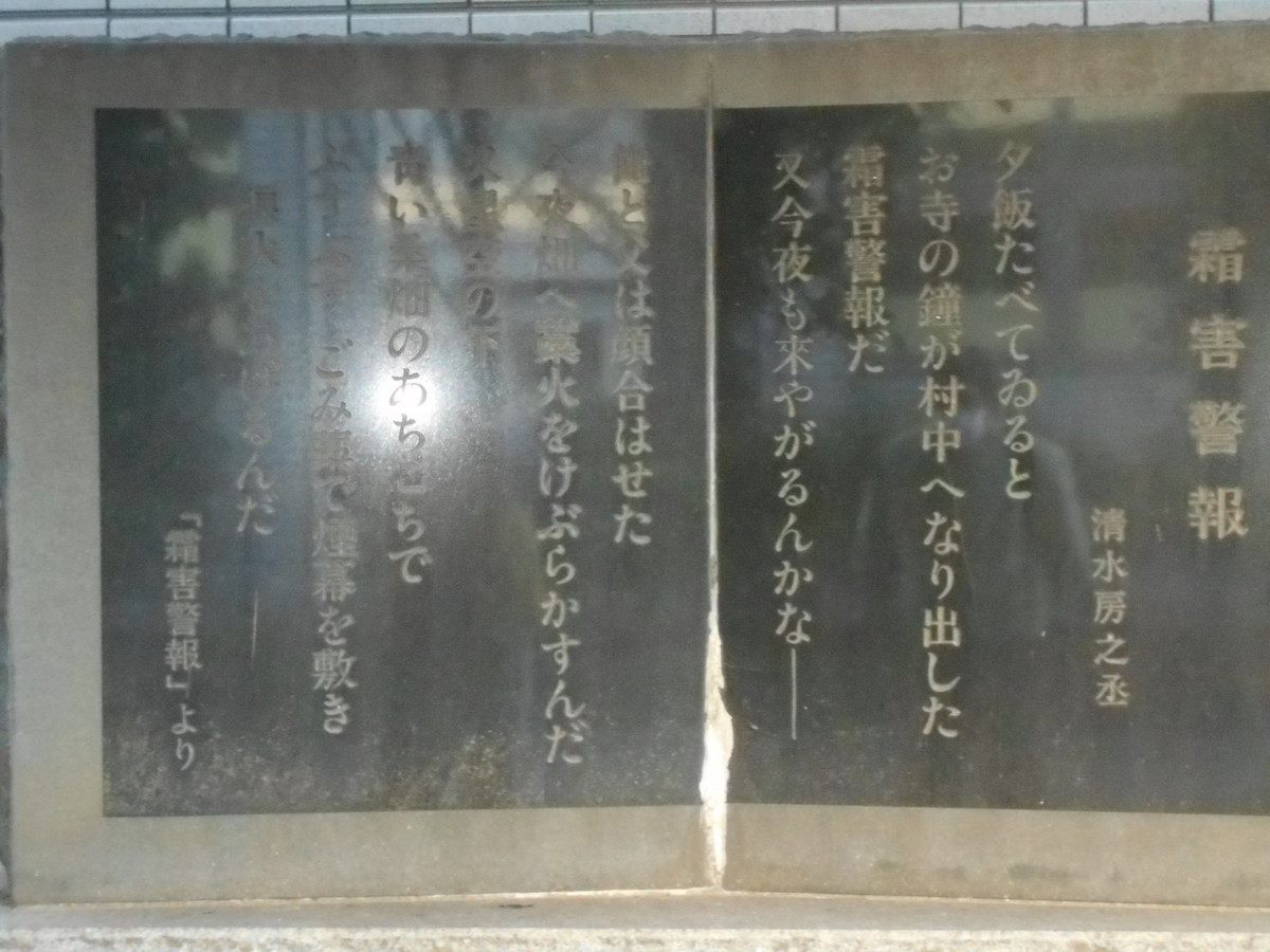 f:id:iirei:20220101063002j:plain