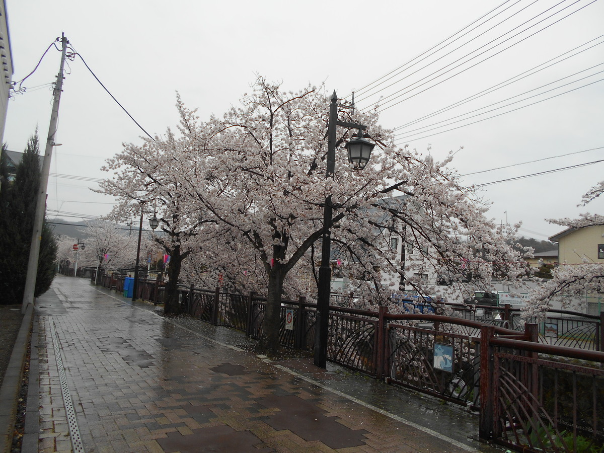 f:id:iirei:20220406193448j:plain