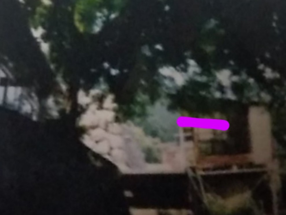 f:id:iishix:20220628002001j:image