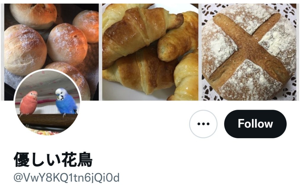 f:id:iishix:20220628223818j:image f:id:iishix:20220628223818j:image