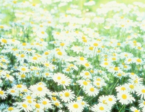f:id:iitan1115:20160901164856j:image f:id:iitan1115:20160901164856j:image