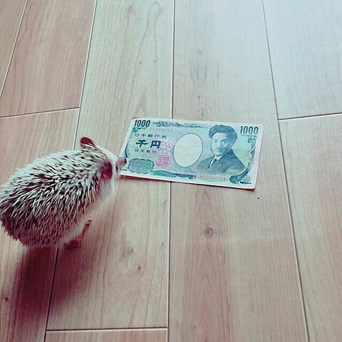 f:id:iitan1115:20161027112211j:image f:id:iitan1115:20161027112211j:image
