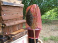 20100516032008