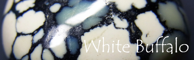 ホワイト・バッファロー：White Buffalo ちゅ～タイトルの雑談 - 猫車通信