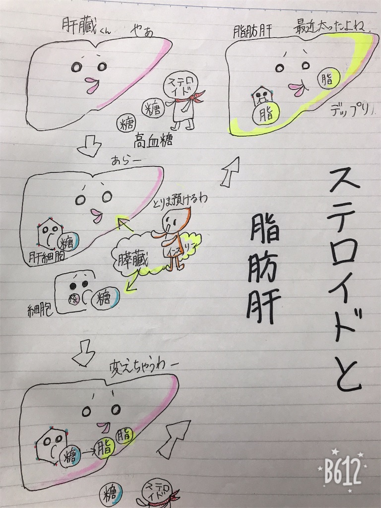 f:id:ijiri_kurumi:20190131175314j:image