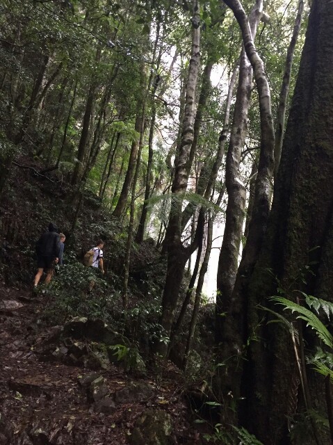 f:id:ijsaki:20180327121648j:plain