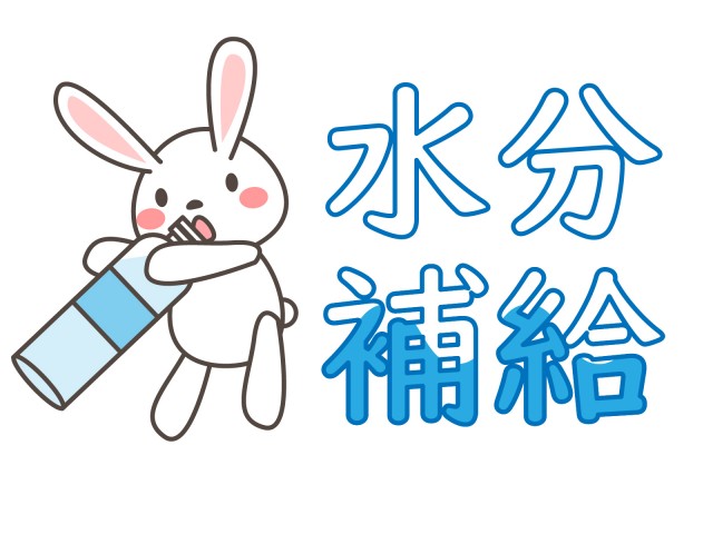 f:id:ijudo:20200528140427j:plain f:id:ijudo:20200528140427j:plain