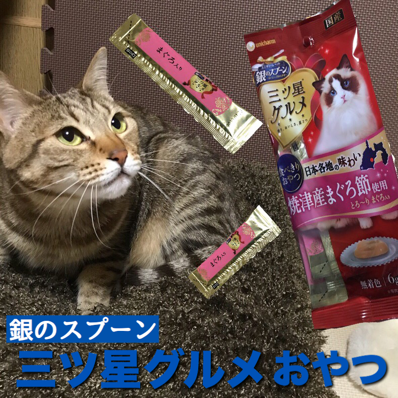 ちゅ るに似ている 銀のスプーンのおやつ を与えてみた ちゅ るとの反応の違いは にゃんこ4姉妹と4兄弟