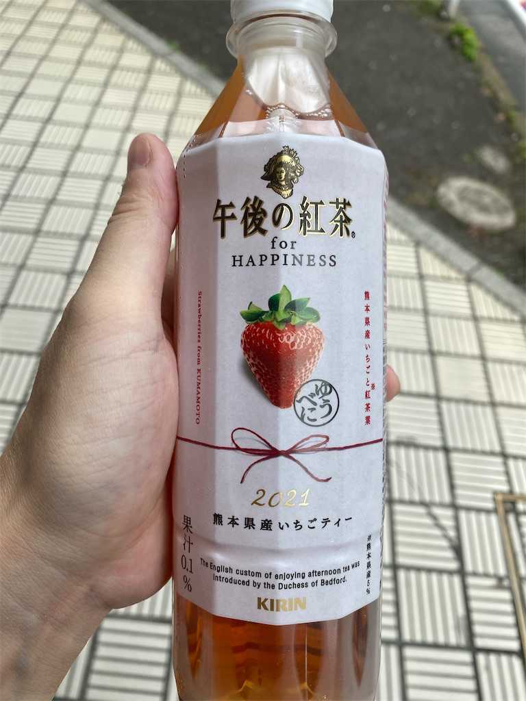 f:id:ika-pikurusu:20210602150135j:image