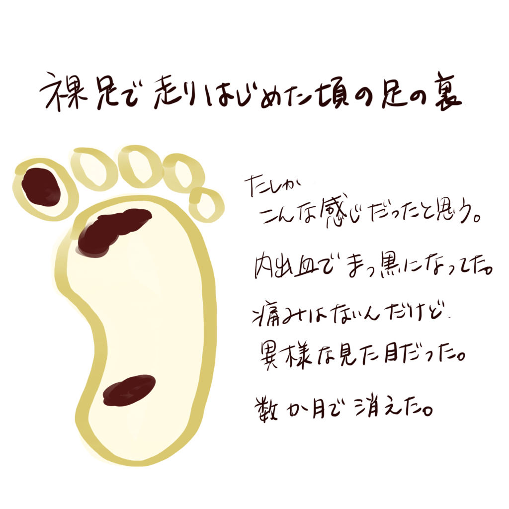 f:id:ika14358:20170726033841p:plain f:id:ika14358:20170726033841p:plain