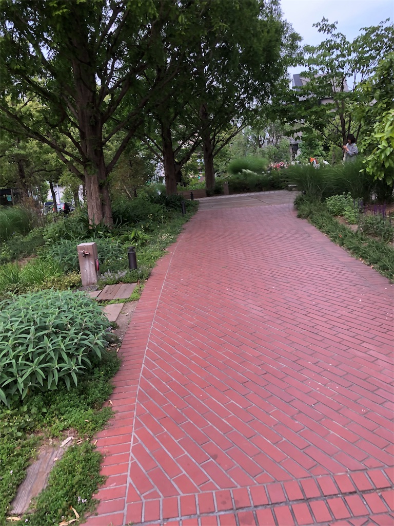 f:id:ika_ika_wtb:20190520225314j:image f:id:ika_ika_wtb:20190520225314j:image