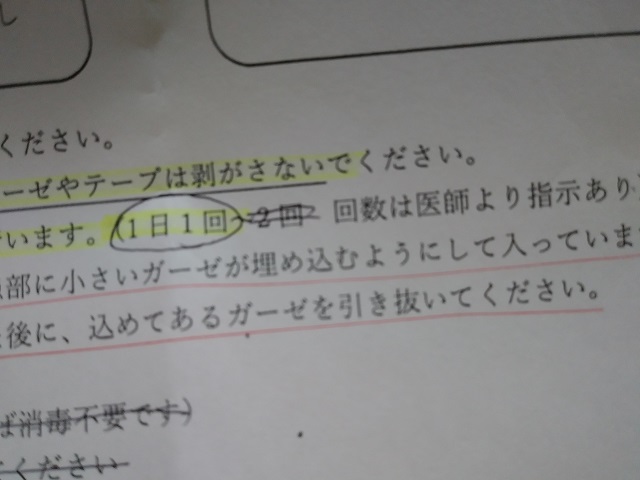 f:id:ikamcnb:20210619223913j:plain
