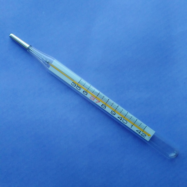 f:id:ikamcnb:20210823210758j:plain