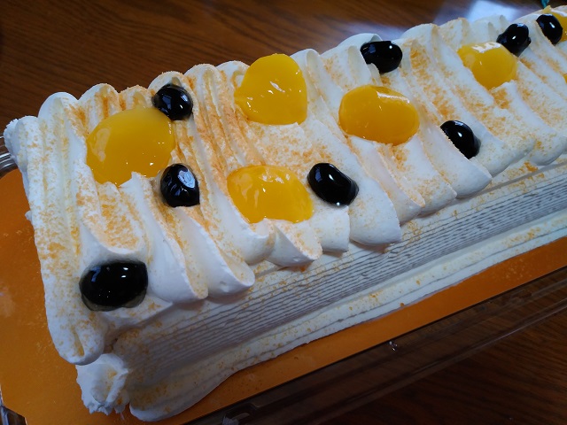 f:id:ikamcnb:20220227141559j:plain