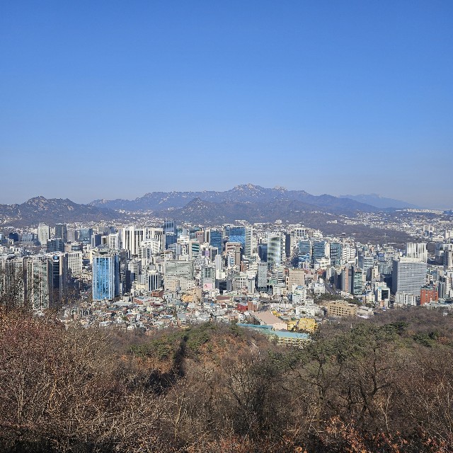 f:id:ikamcnb:20260131120457j:image