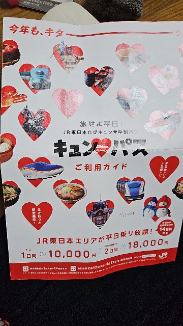 f:id:ikamcnb:20260306094533j:image f:id:ikamcnb:20260306094533j:image