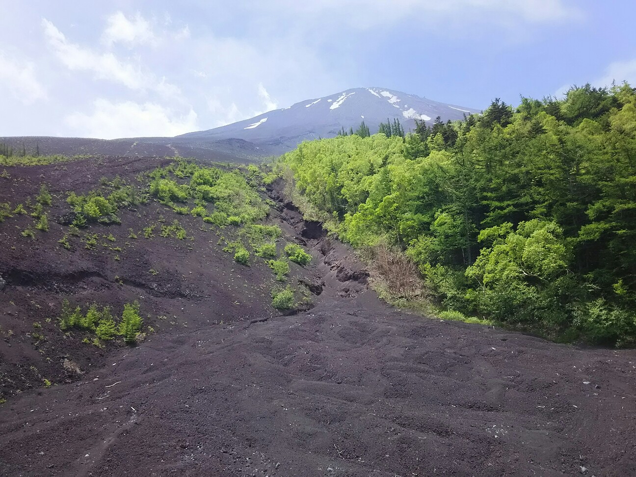 f:id:ikarugasan:20160624210748j:image f:id:ikarugasan:20160624210748j:image