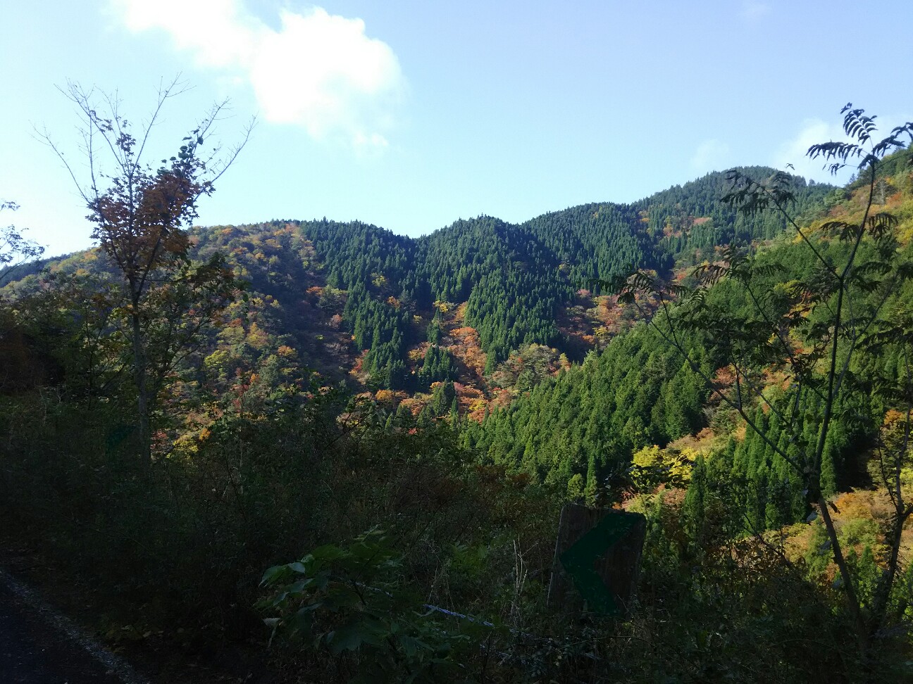 f:id:ikarugasan:20161114194138j:image f:id:ikarugasan:20161114194138j:image