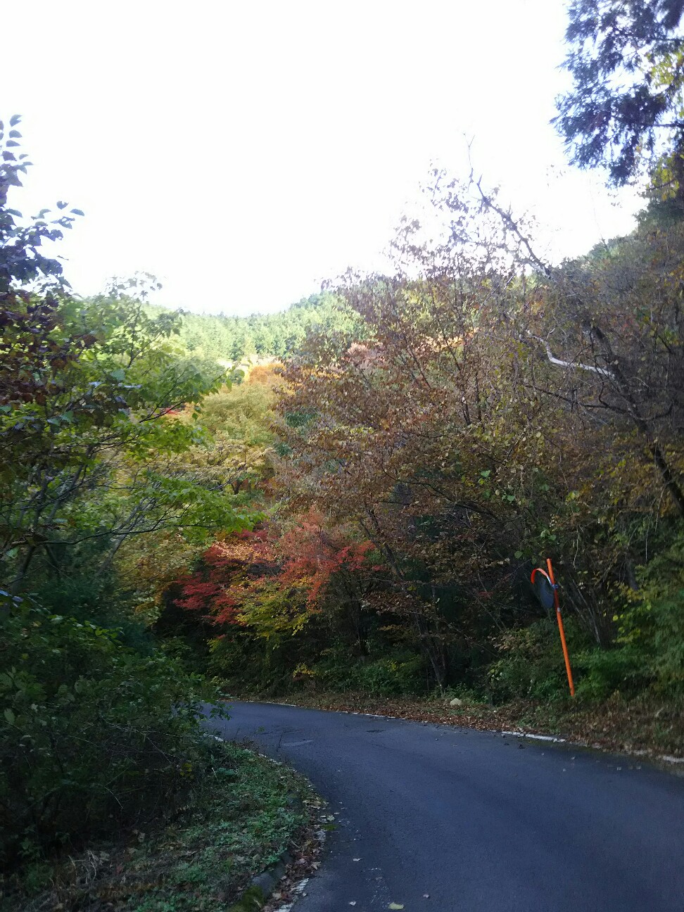 f:id:ikarugasan:20161114194232j:image f:id:ikarugasan:20161114194232j:image