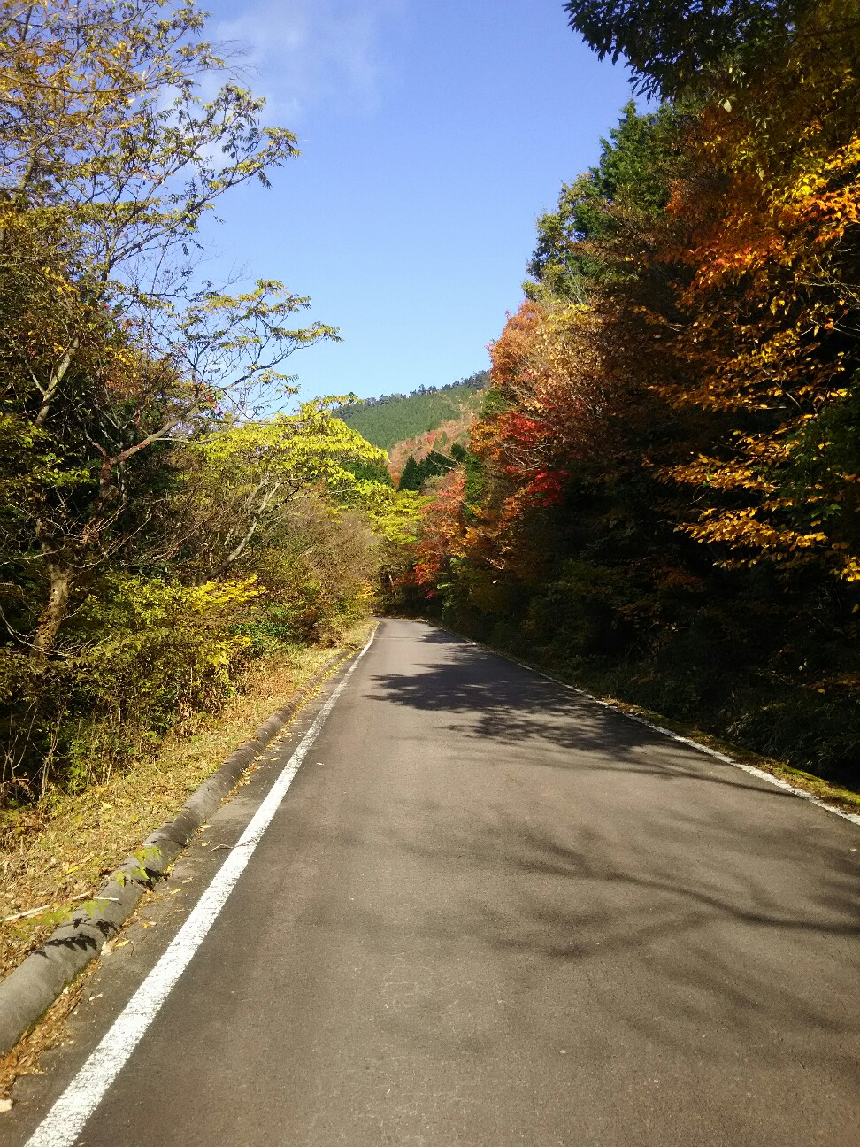 f:id:ikarugasan:20161114194304j:image f:id:ikarugasan:20161114194304j:image