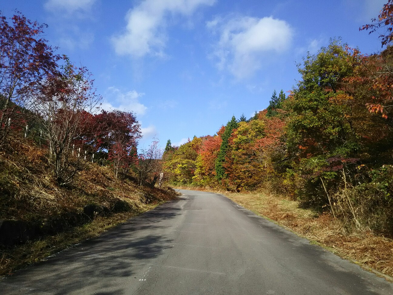 f:id:ikarugasan:20161114194355j:image f:id:ikarugasan:20161114194355j:image